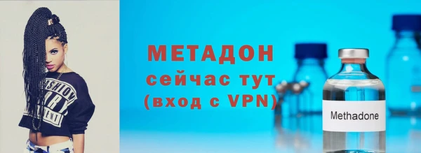 прущие грибы Вязьма