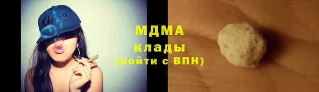 прущие грибы Вязьма