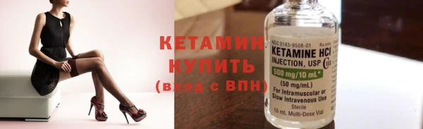прущие грибы Вязьма