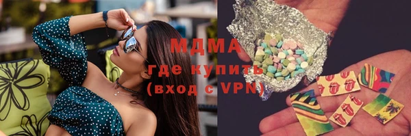 прущие грибы Вязьма