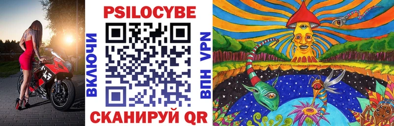 Псилоцибиновые грибы мицелий  Купить закладки  Лыткарино 
